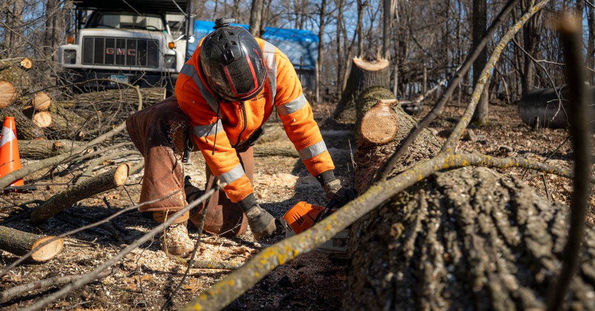 Tree removal service in St. Cloud Minnesota by Total Control Tree Service
