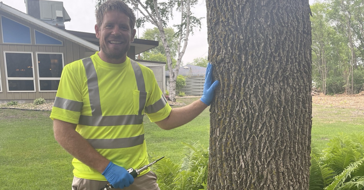 Tree risk assessment service in St. Cloud Minnesota by Total Control Tree Service